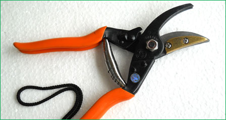 Prunning Shear Cut and Hold Professional