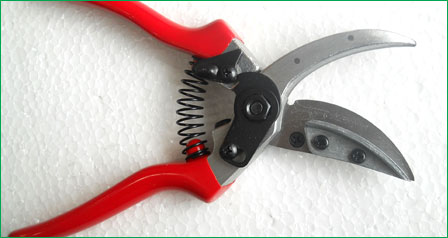 Prunning Shear Cut and Hold